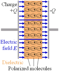 The electrons within dielectric molecules are influenced by the electric field, causing the molecules to rotate slightly from their equilibrium positions. The air gap is shown for clarity; in a real capacitor, the dielectric is in direct contact with the plates.